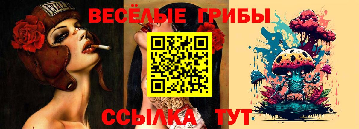 Псилоцибиновые грибы прущие грибы  Вход с VPN  Заводоуковск 